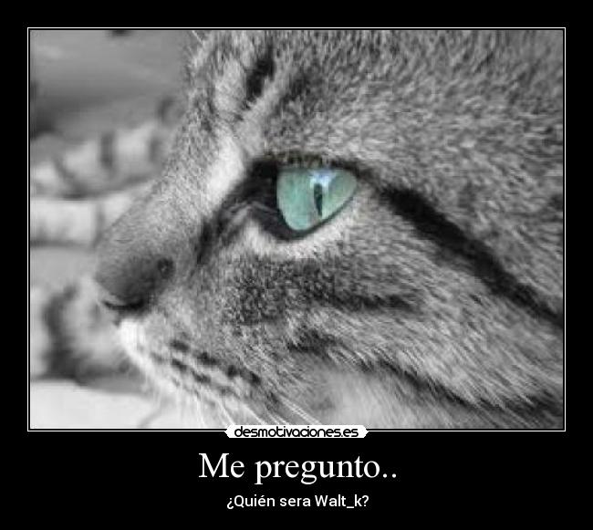 Me pregunto.. - ¿Quién sera Walt_k?