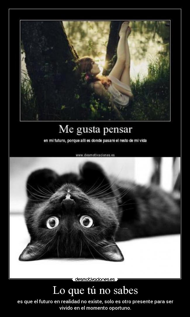 Lo que tú no sabes - es que el futuro en realidad no existe, solo es otro presente para ser
vivido en el momento oportuno.