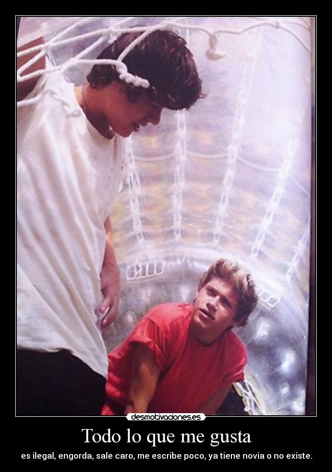 Todo lo que me gusta - es ilegal, engorda, sale caro, me escribe poco, ya tiene novia o no existe.