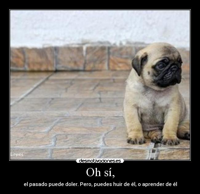 Oh sí, - el pasado puede doler. Pero, puedes huir de él, o aprender de él
