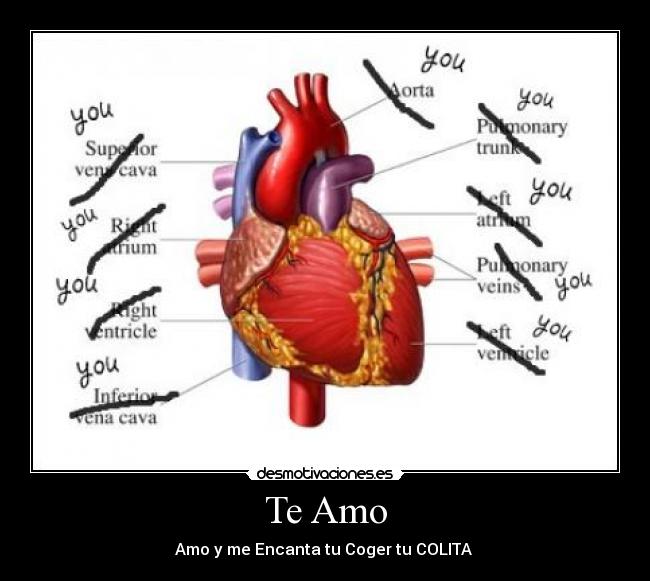 Te Amo - Amo y me Encanta tu Coger tu COLITA ♥