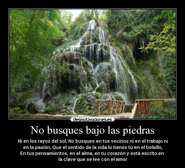 carteles sentido vida desmotivaciones