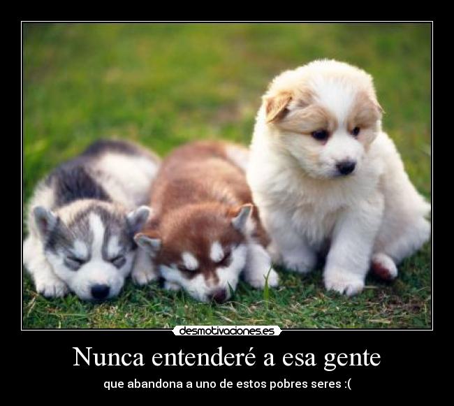 Nunca entenderé a esa gente - que abandona a uno de estos pobres seres :(