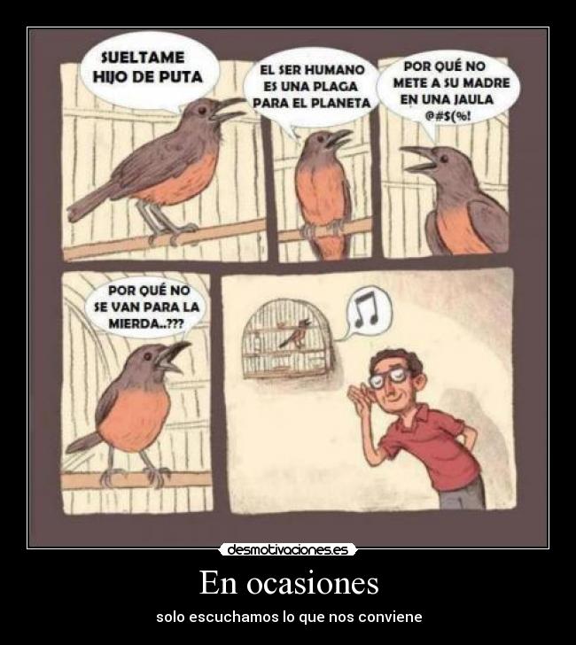 carteles negativo para andele demenlo pobre pajaritos desmotivaciones