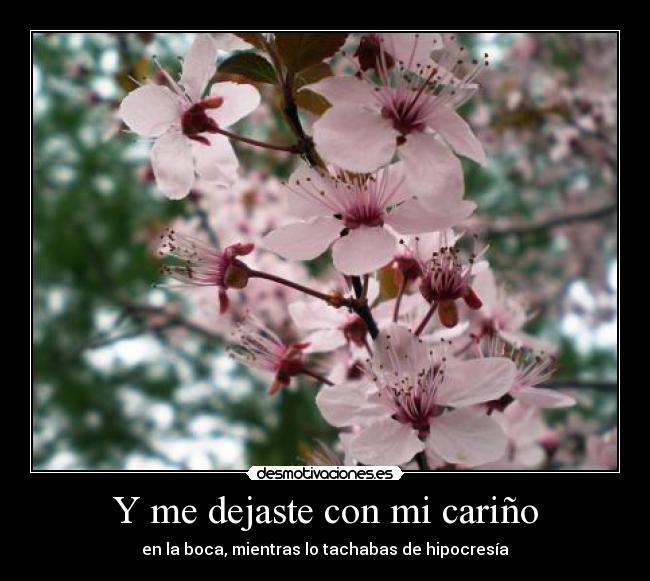 carteles poemapalamaje flores desmotivaciones