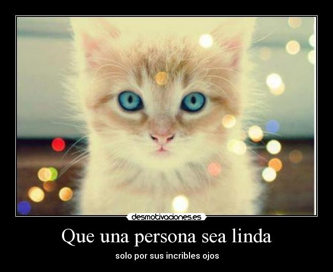 carteles lindos desmotivaciones