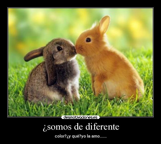 ¿somos de diferente - color?¿y qué?yo la amo.......