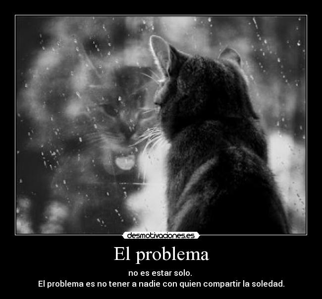 El problema - no es estar solo. 
El problema es no tener a nadie con quien compartir la soledad.