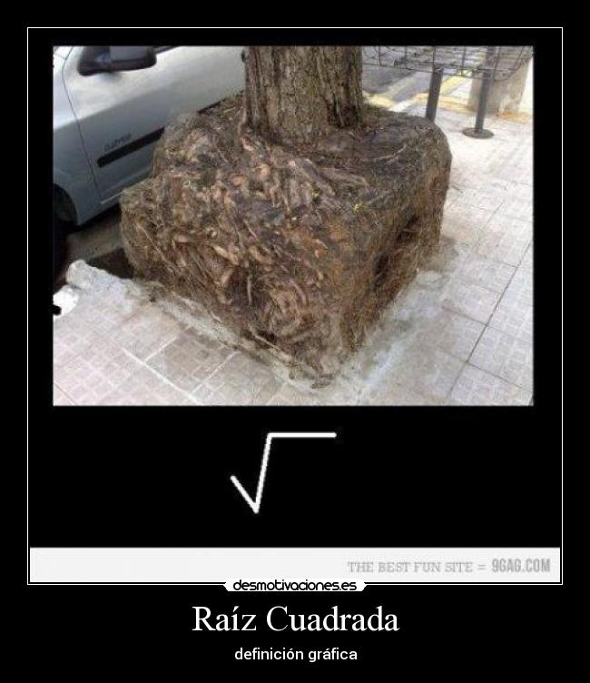 Raíz Cuadrada - definición gráfica