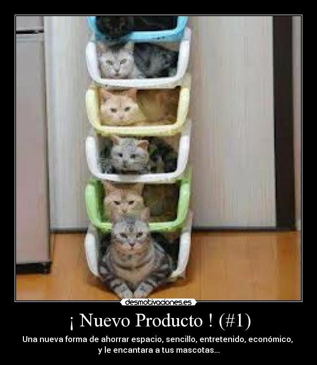 ¡ Nuevo Producto ! (#1) -