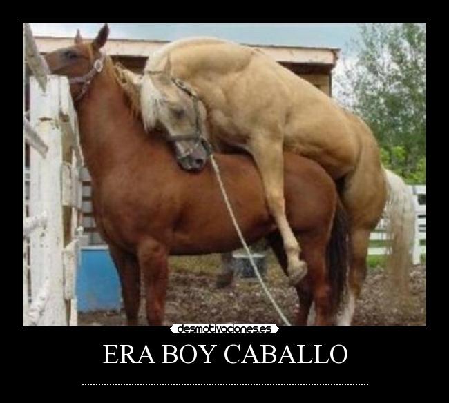 ERA BOY CABALLO - ........................................................................................................