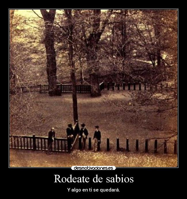 carteles gato intruders crazyclub clanreyleon rodeate sabiduria desmotivaciones