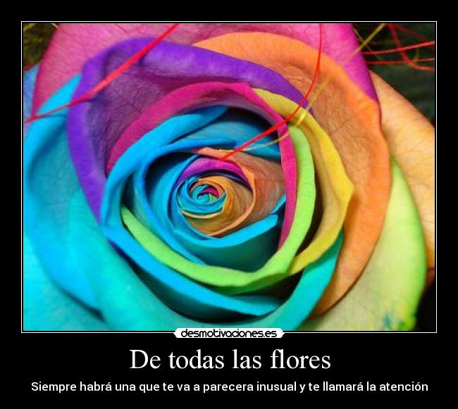 De todas las flores - Siempre habrá una que te va a parecera inusual y te llamará la atención