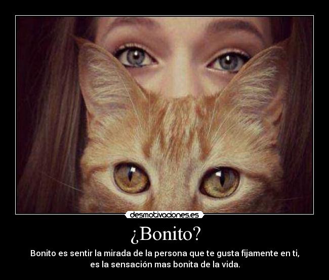 ¿Bonito? - 