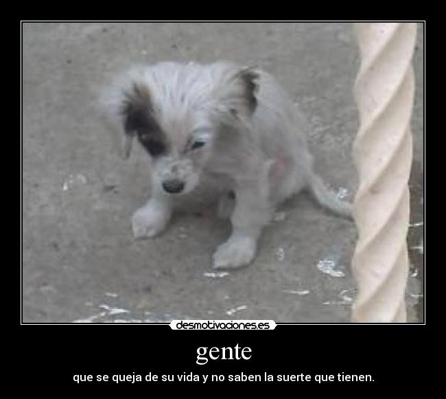 gente - que se queja de su vida y no saben la suerte que tienen.