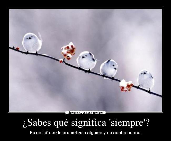 ¿Sabes qué significa siempre? - 