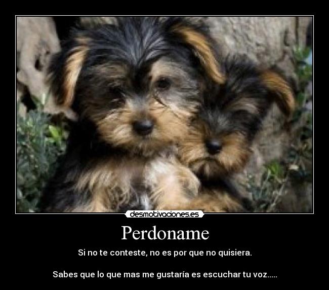 carteles perdoname desmotivaciones