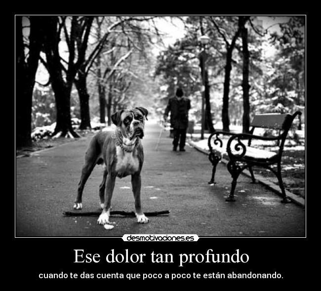 Ese dolor tan profundo -