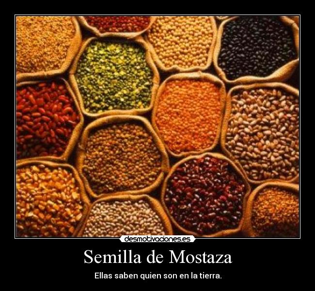 Semilla de Mostaza - Ellas saben quien son en la tierra.