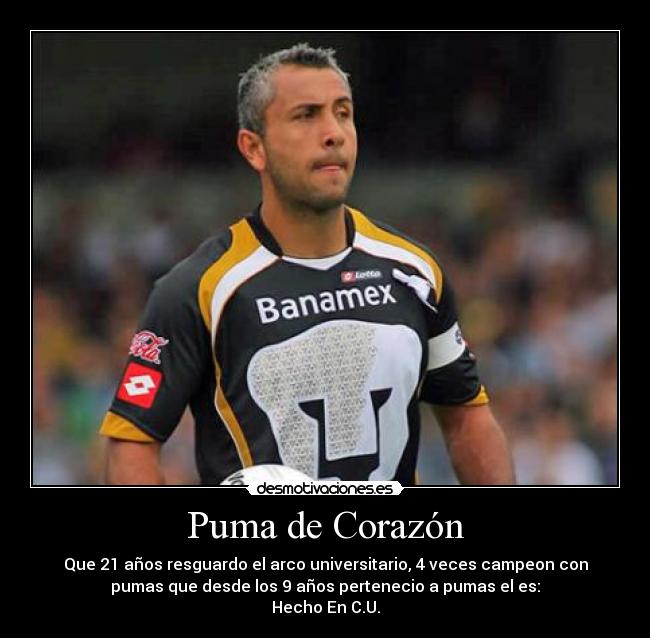 Puma de Corazón - Que 21 años resguardo el arco universitario, 4 veces campeon con
pumas que desde los 9 años pertenecio a pumas el es:
Hecho En C.U.