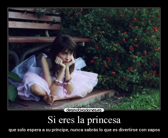 Si eres la princesa - 