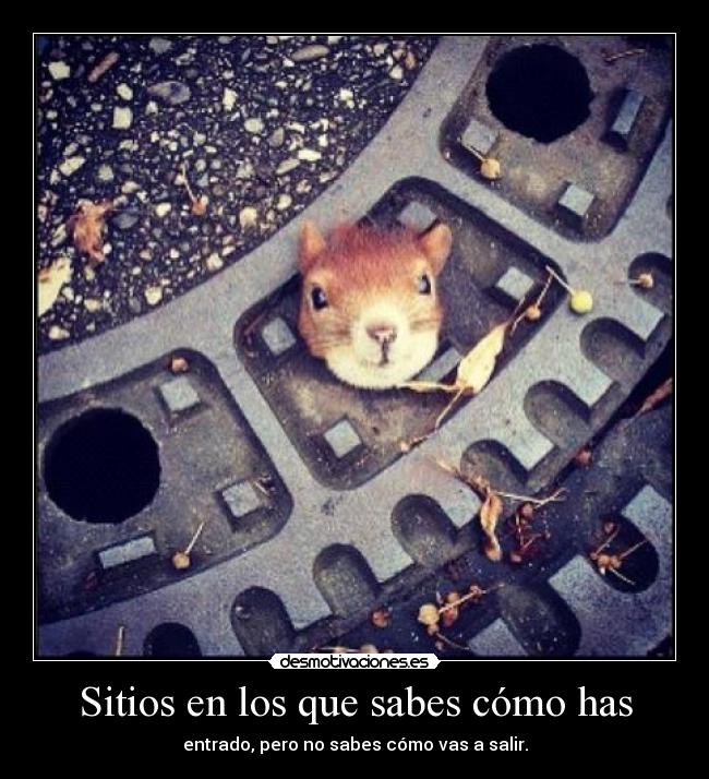 Sitios en los que sabes cómo has - entrado, pero no sabes cómo vas a salir.