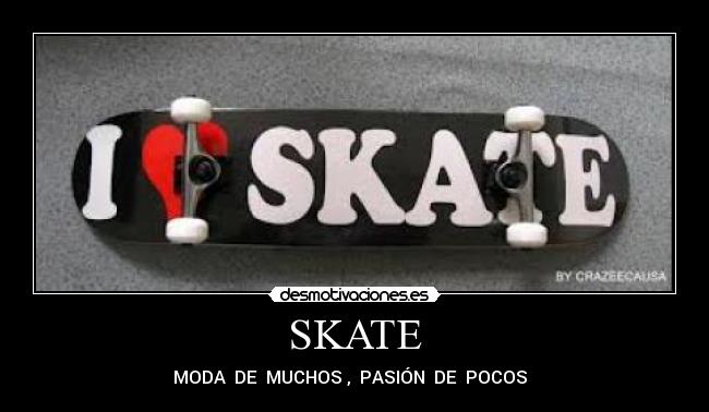 SKATE - MODA  DE  MUCHOS ,  PASIÓN  DE  POCOS  
