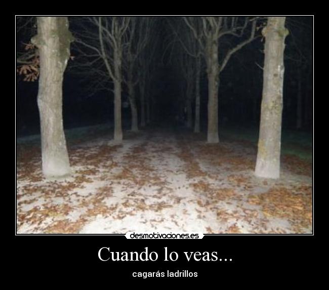 Cuando lo veas... - cagarás ladrillos