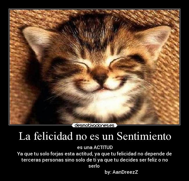 La felicidad no es un Sentimiento - 