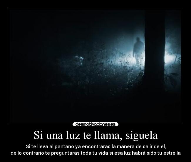 Si una luz te llama, síguela -