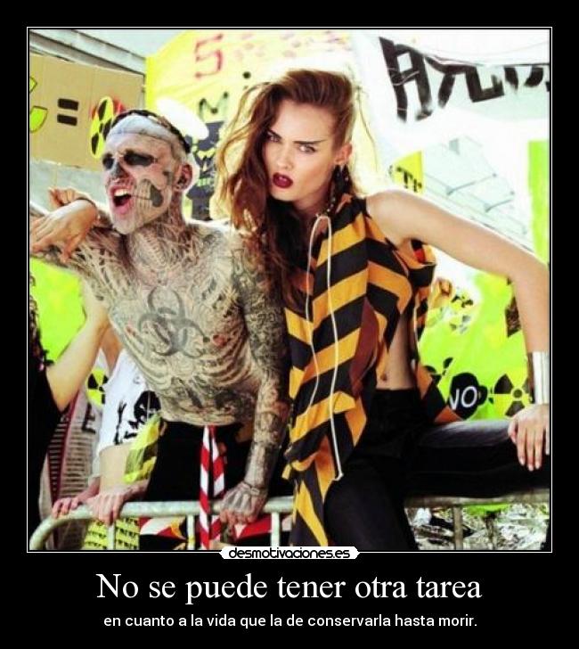 carteles preguntan que sucede limito mirar serio desmotivaciones