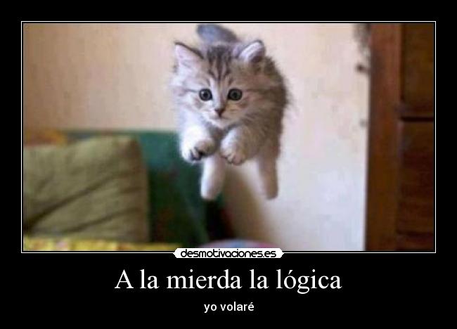 carteles gatosvolador desmotivaciones