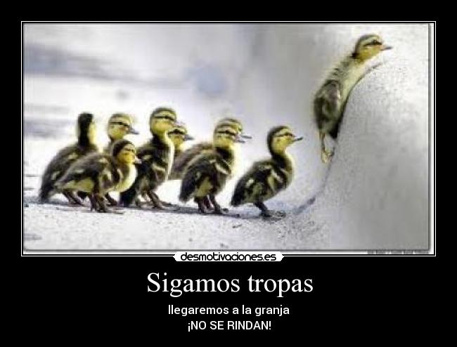 Sigamos tropas - 