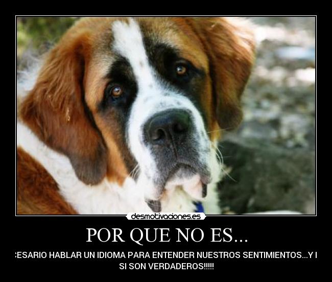 POR QUE NO ES... - NECESARIO HABLAR UN IDIOMA PARA ENTENDER NUESTROS SENTIMIENTOS...Y MAS
SI SON VERDADEROS!!!!!