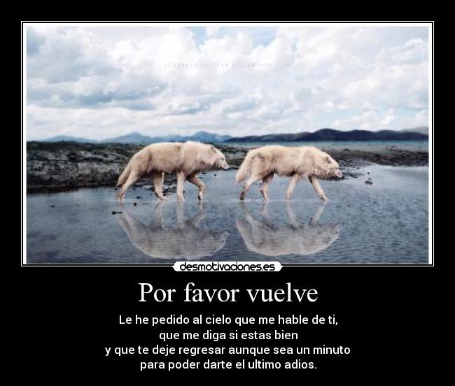 Por favor vuelve - 