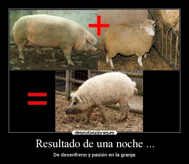 Resultado de una noche ... - 