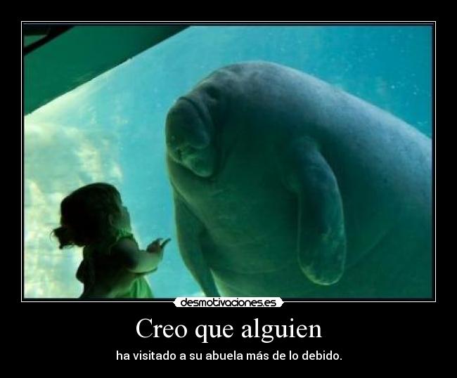 Creo que alguien - ha visitado a su abuela más de lo debido.