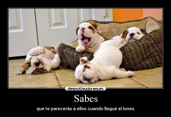 Sabes -