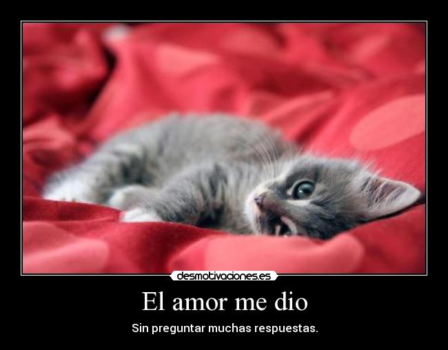 El amor me dio - Sin preguntar muchas respuestas.