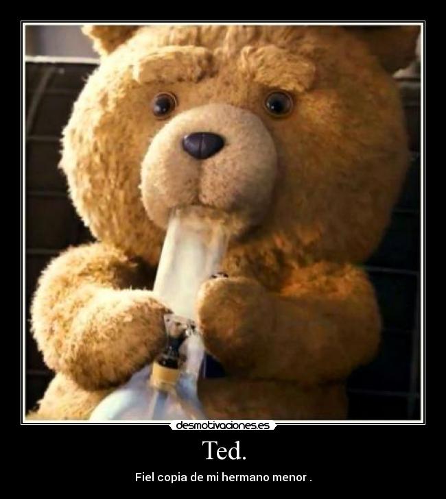 Ted. - Fiel copia de mi hermano menor .