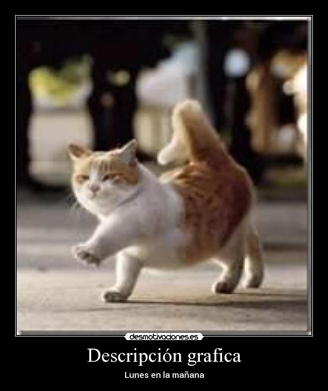 Descripción grafica - Lunes en la mañana