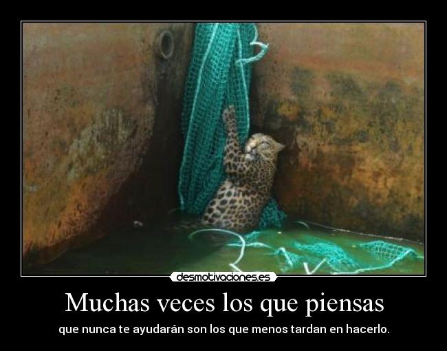 Muchas veces los que piensas - 