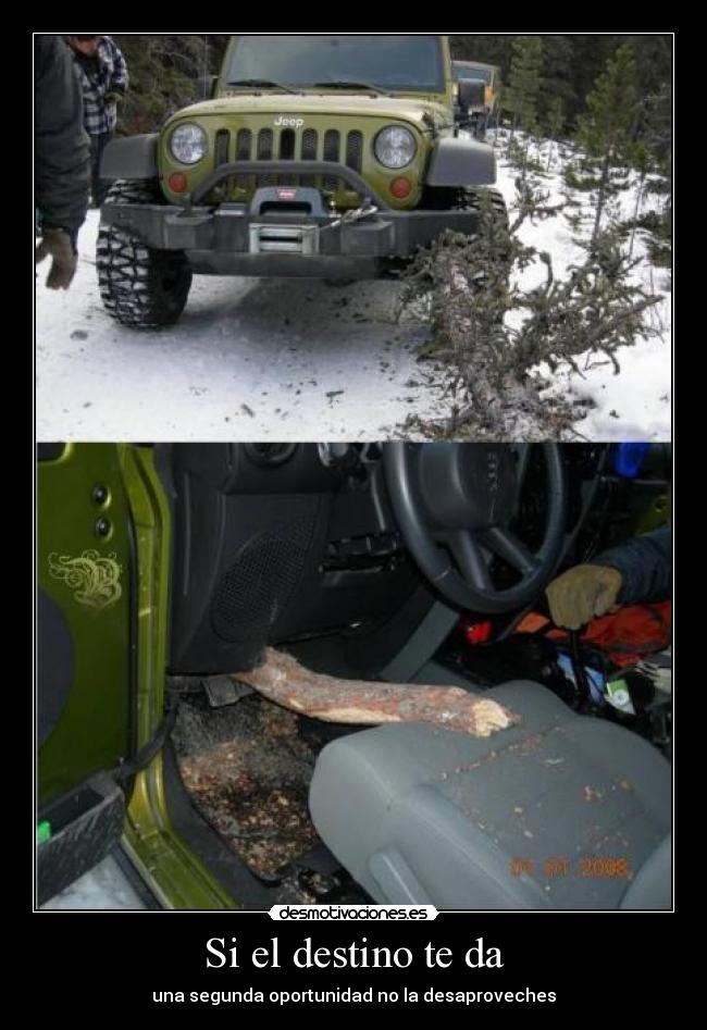 Si el destino te da - una segunda oportunidad no la desaproveches