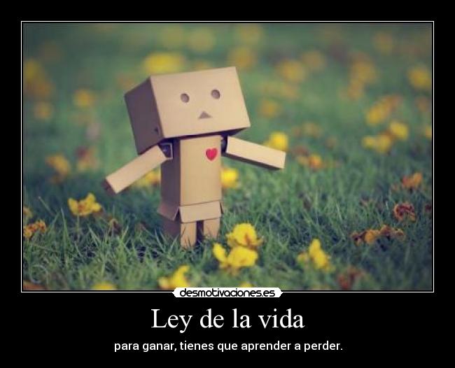 Ley de la vida - para ganar, tienes que aprender a perder.