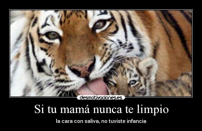 carteles mama nunca limpio cara con saliva tuviste infancia desmotivaciones