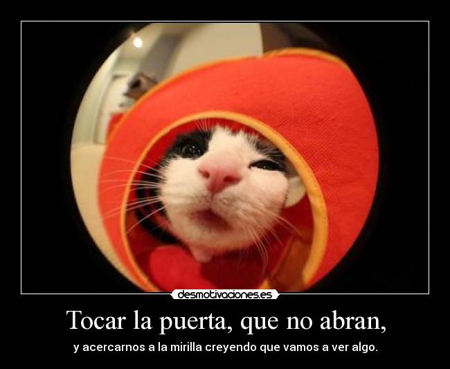 Tocar la puerta, que no abran, - y acercarnos a la mirilla creyendo que vamos a ver algo.