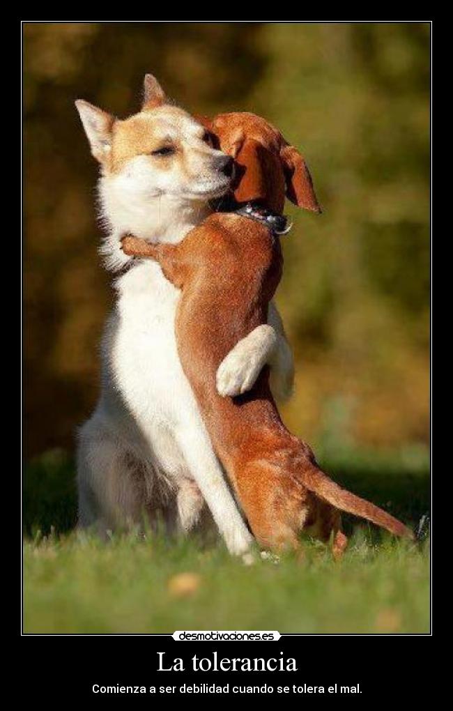 La tolerancia - Comienza a ser debilidad cuando se tolera el mal.
