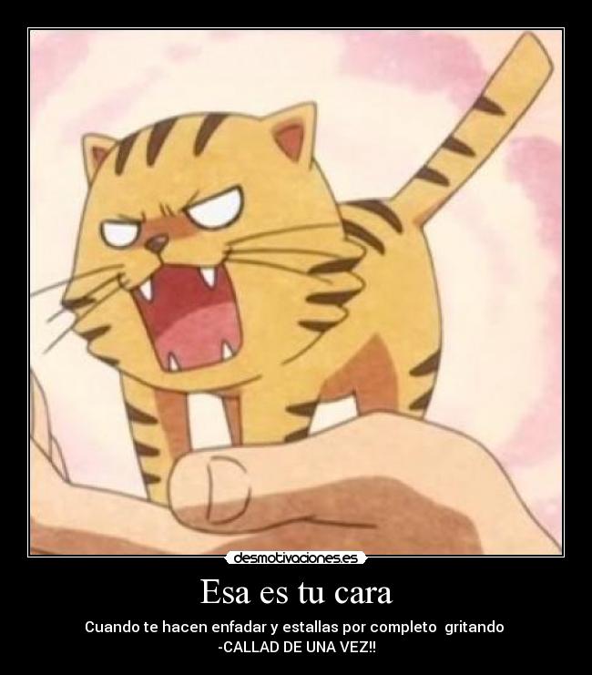 Esa es tu cara - Cuando te hacen enfadar y estallas por completo gritando
-CALLAD DE UNA VEZ!!