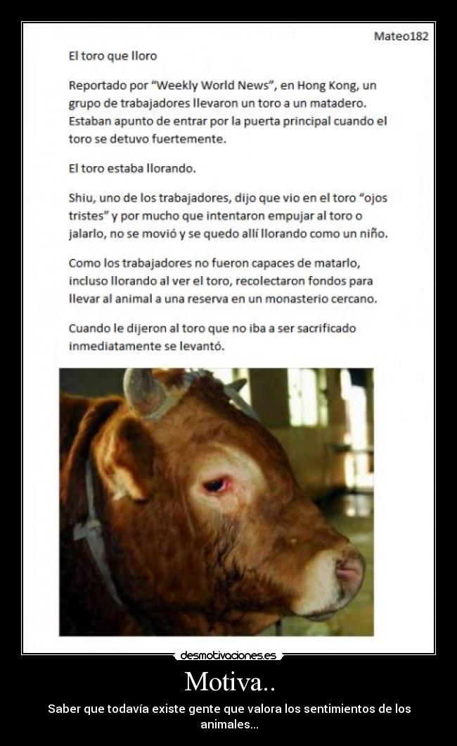 Motiva.. - Saber que todavía existe gente que valora los sentimientos de los animales...