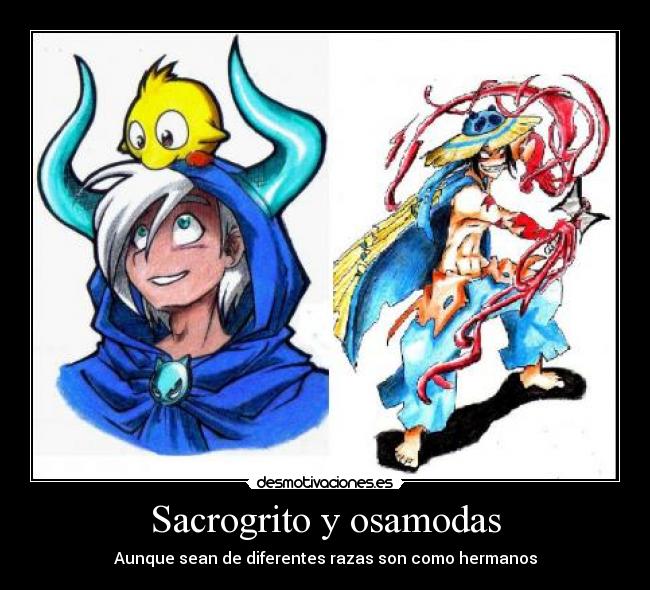 carteles osamodas sacro dofus desmotivaciones